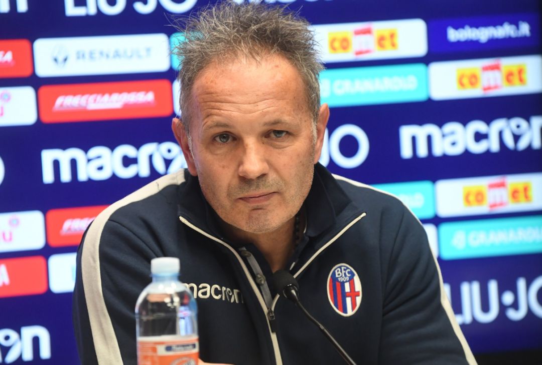 媒体粉丝增 媒体粉丝增